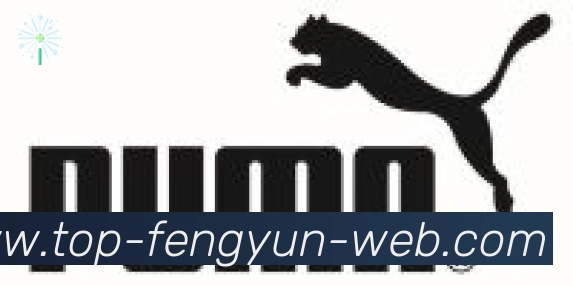 风云直播合作伙伴